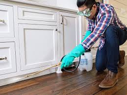 Best Residential Pest Control  in Little Elm, TX